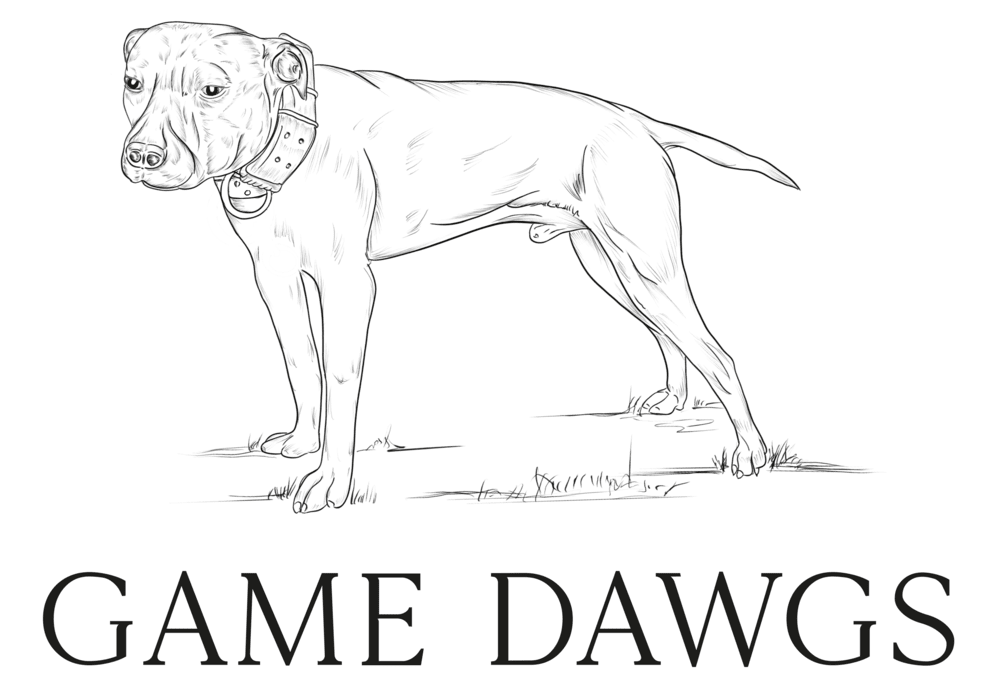 Game Dawgs
