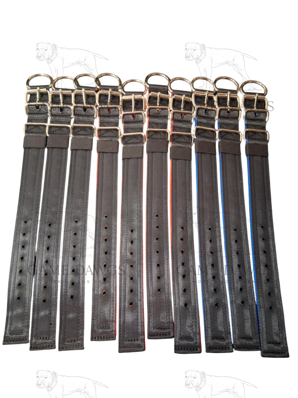 Kennel Pack (10) 5 Ply 1.5" Heavy Duty Puppy Collars