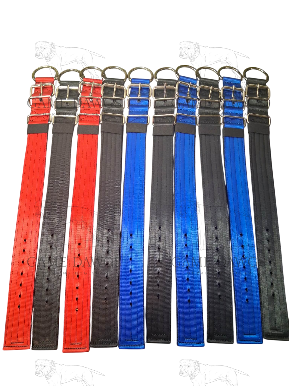 Kennel Pack (10) 5 Ply 2" Heavy Duty Collars