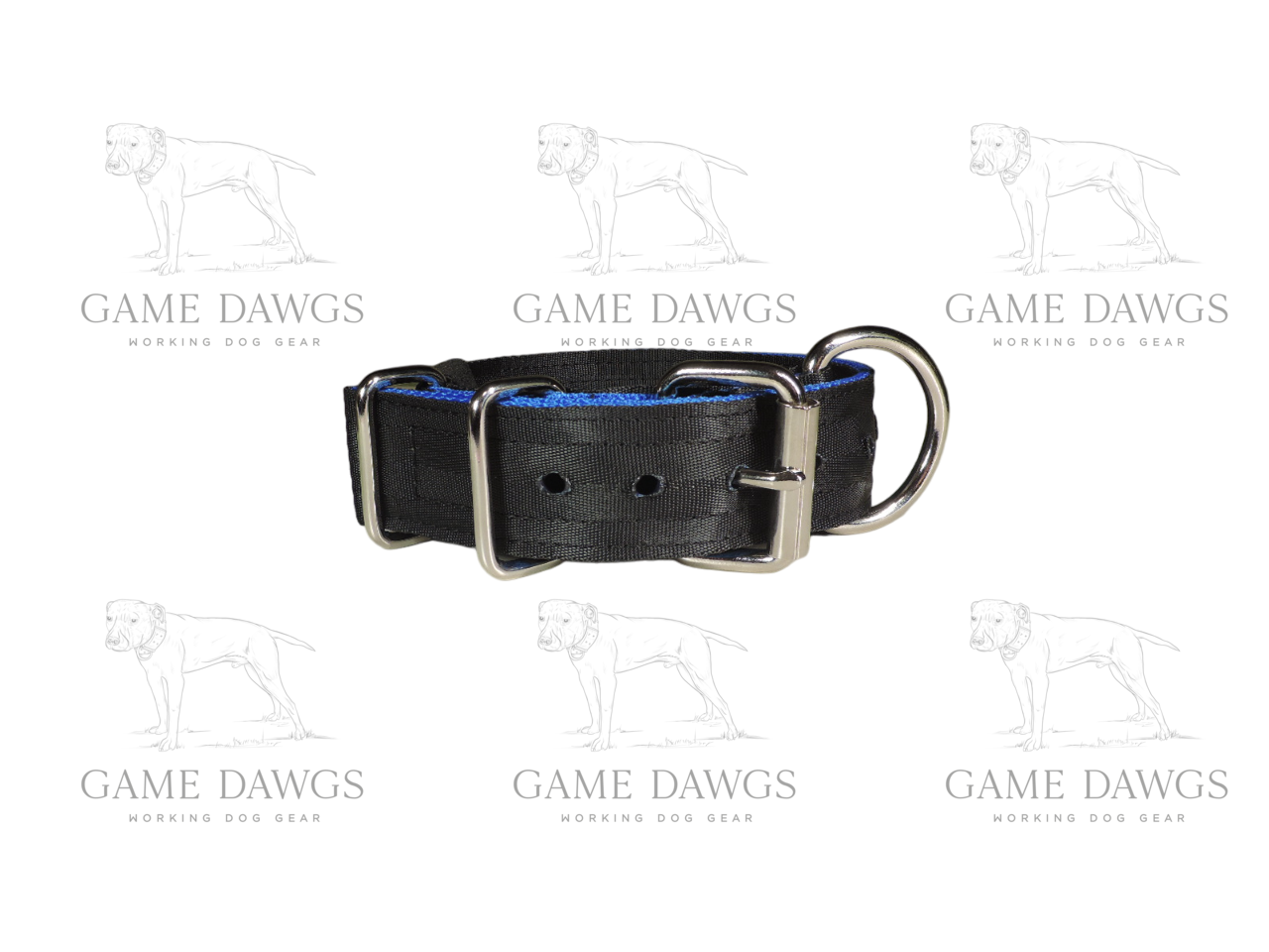 1.5" 5 Ply Heavy Duty Puppy Collar