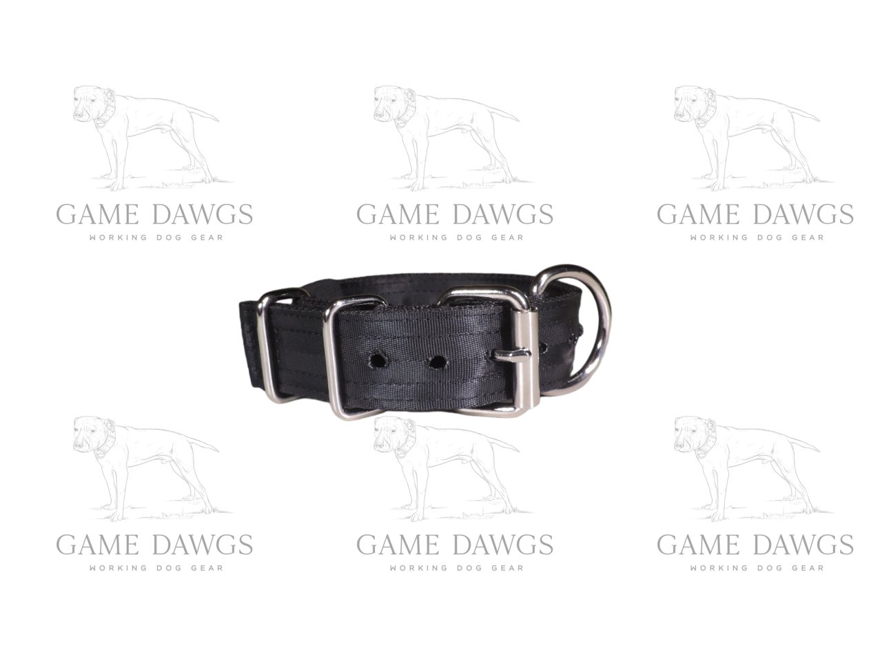 1.5" 5 Ply Heavy Duty Puppy Collar