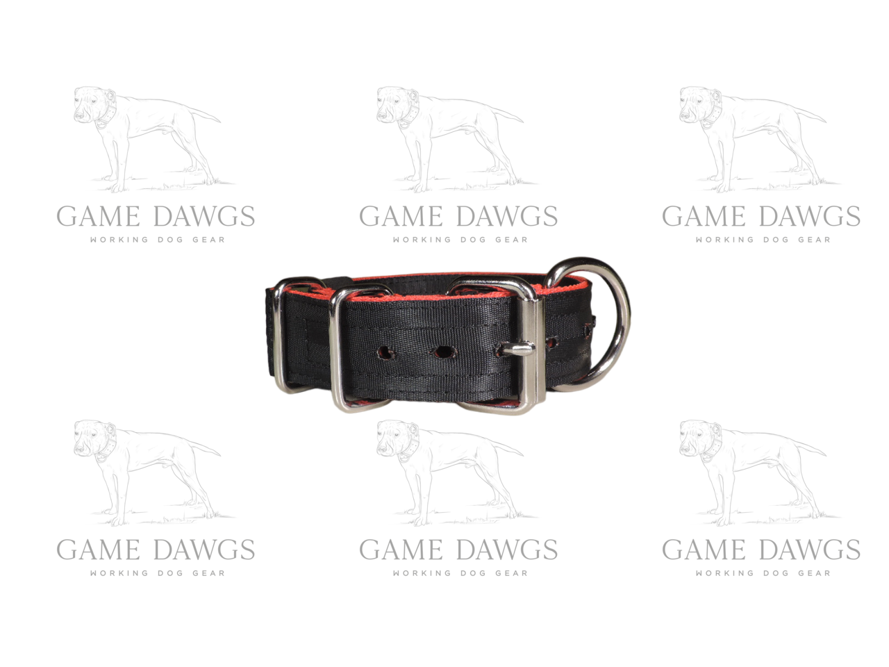 1.5" 5 Ply Heavy Duty Puppy Collar