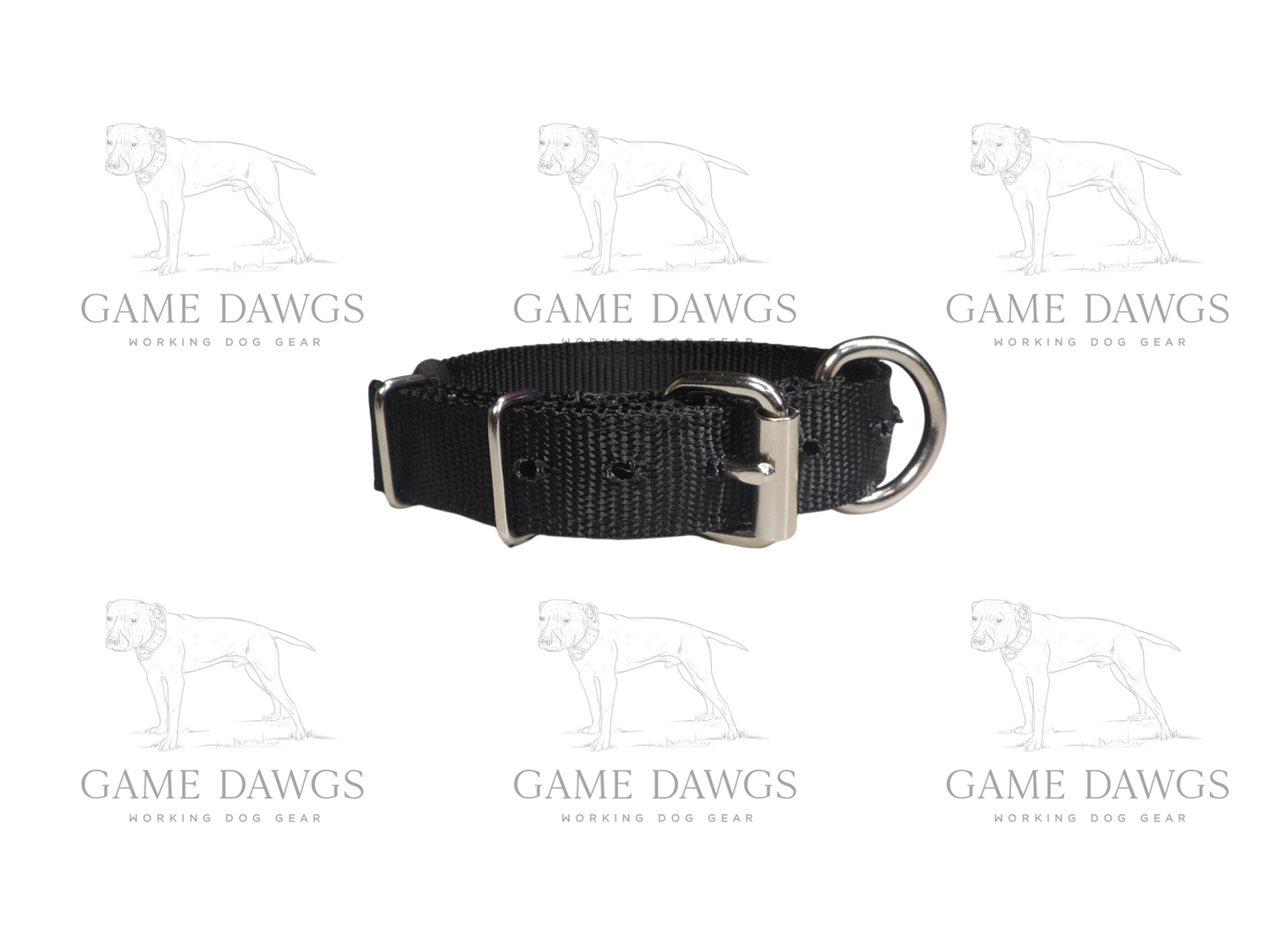 1" 2 Ply Nylon Puppy Collar