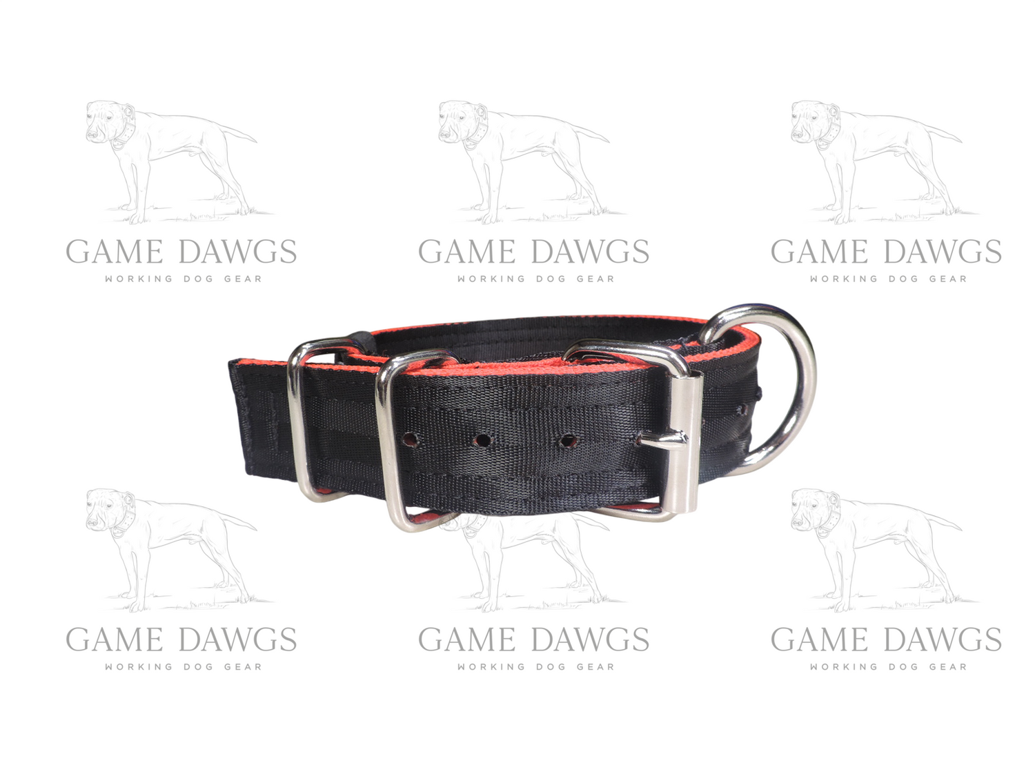 1.5" 5 Ply Heavy Duty Black / Red Seatbelt Collar - Medium